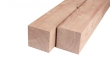 Douglas palen/balken 100x100mm a 3M